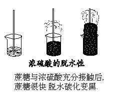 正溴丁烷的制備實(shí)驗(yàn)中硫酸的作用既是反應(yīng)物也是催化劑對(duì)嗎？