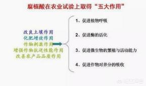 摻混肥料的發展潛力如何？我想做成礦源腐植酸摻混肥，這種產品效果如何？