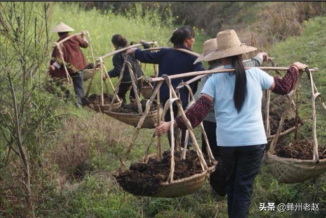 什么是有機肥，有機肥和化肥有什么區(qū)別，國家為什么鼓勵有機肥？