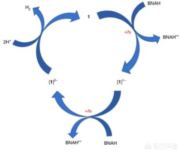 科學家如何利用全新光催化分子更有效地產生氫？