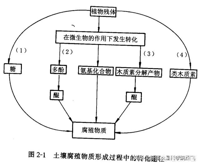 為什么有機肥對土壤改良有重要作用？