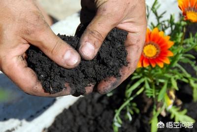 生物肥、化肥、有機肥各自的優缺點是什么？混合使用需要注意什么？